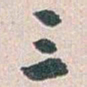 白蕉三书法图片