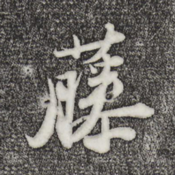 苏轼藤书法图片