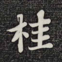 苏轼桂书法图片