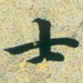 文征明士书法图片