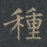 柳公权种书法图片