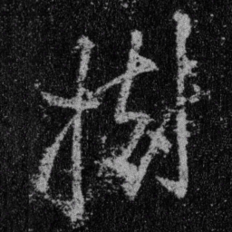 王羲之树书法图片