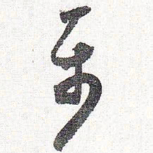 怀素属书法图片