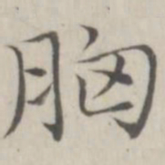 赵箖胸书法图片