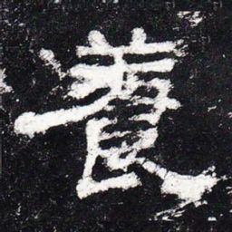 养书法图片