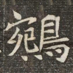 鵷书法图片