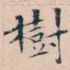 文征明樹书法图片