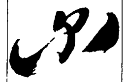 郑板桥尔书法图片