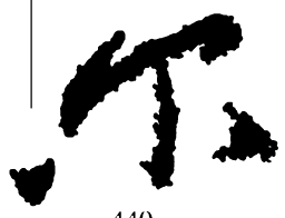 郑板桥尔书法图片