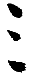郑板桥三书法图片