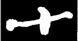 郑板桥十书法图片