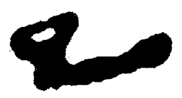 简帛已书法图片