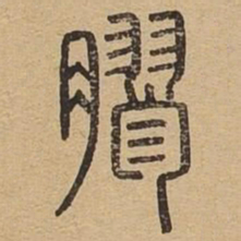 胶书法图片