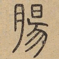 肠书法图片