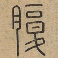 腹书法图片