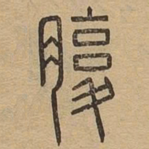腹书法图片