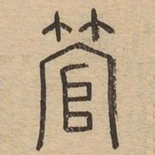 管书法图片
