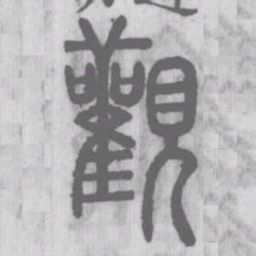 说文解字观书法图片