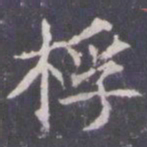 王知敬桴书法图片