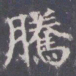 王知敬腾书法图片