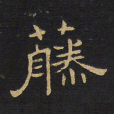 王铎藤书法图片