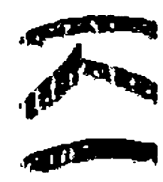 清华简离书法图片