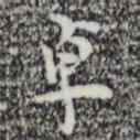 张羽卓书法图片