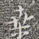 张羽桑书法图片