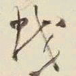 王铎蛟书法图片