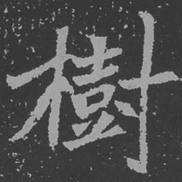 魏碑树书法图片