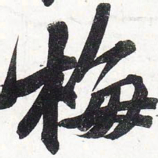 苏轼梅书法图片