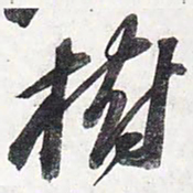 苏轼树书法图片