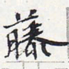 苏轼藤书法图片