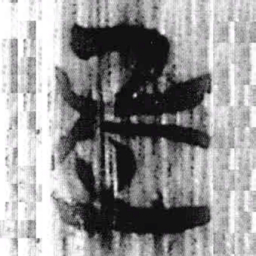 上博简老书法图片