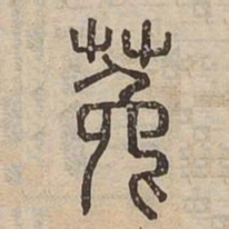 菟书法图片