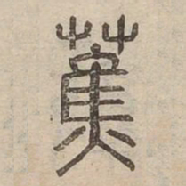 蕉书法图片