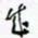 许邦志成书法图片