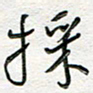 朱星星采书法图片