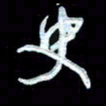 詹武钦史书法图片