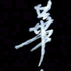 詹武钦华书法图片