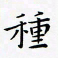 田智勇种书法图片