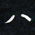 郝天明八书法图片