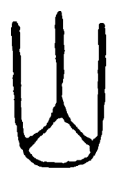 篆刻山书法图片