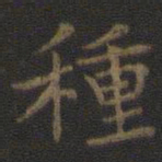 虞世南种书法图片
