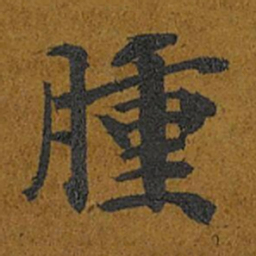 智照腫书法图片