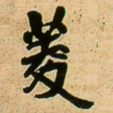 王铎菱书法图片