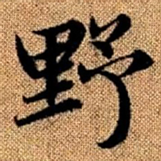 赵孟頫野书法图片