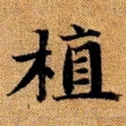 赵孟頫植书法图片