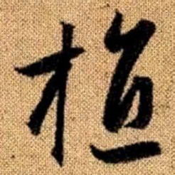 赵孟頫植书法图片