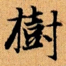 赵孟頫树书法图片